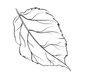 Group (24)